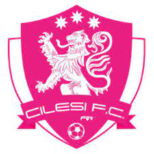 https://img.2013lezhixing.com/img/football/team/7aa0eae9d284e6aab302a00cb5107481.png